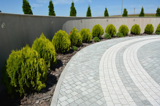 Best Driveway Paving Contractor  in Hamilton, MT